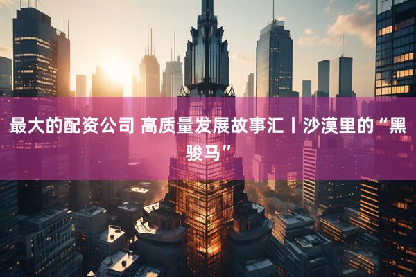 最大的配资公司 高质量发展故事汇丨沙漠里的“黑骏马”