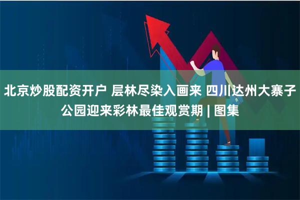 北京炒股配资开户 层林尽染入画来 四川达州大寨子公园迎来彩林最佳观赏期 | 图集