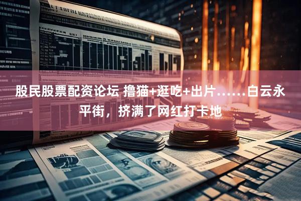 股民股票配资论坛 撸猫+逛吃+出片……白云永平街，挤满了网红打卡地