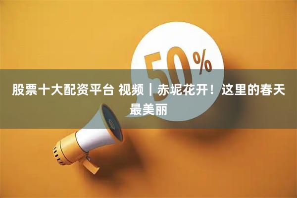 股票十大配资平台 视频｜赤坭花开！这里的春天最美丽