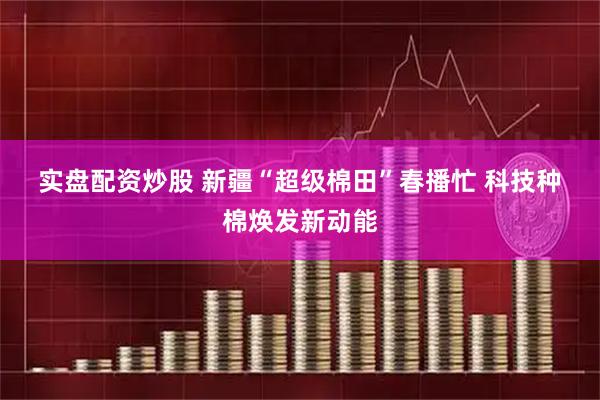 实盘配资炒股 新疆“超级棉田”春播忙 科技种棉焕发新动能